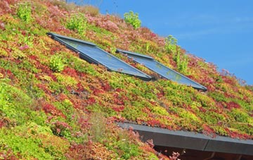 Rapkyns living roof systems